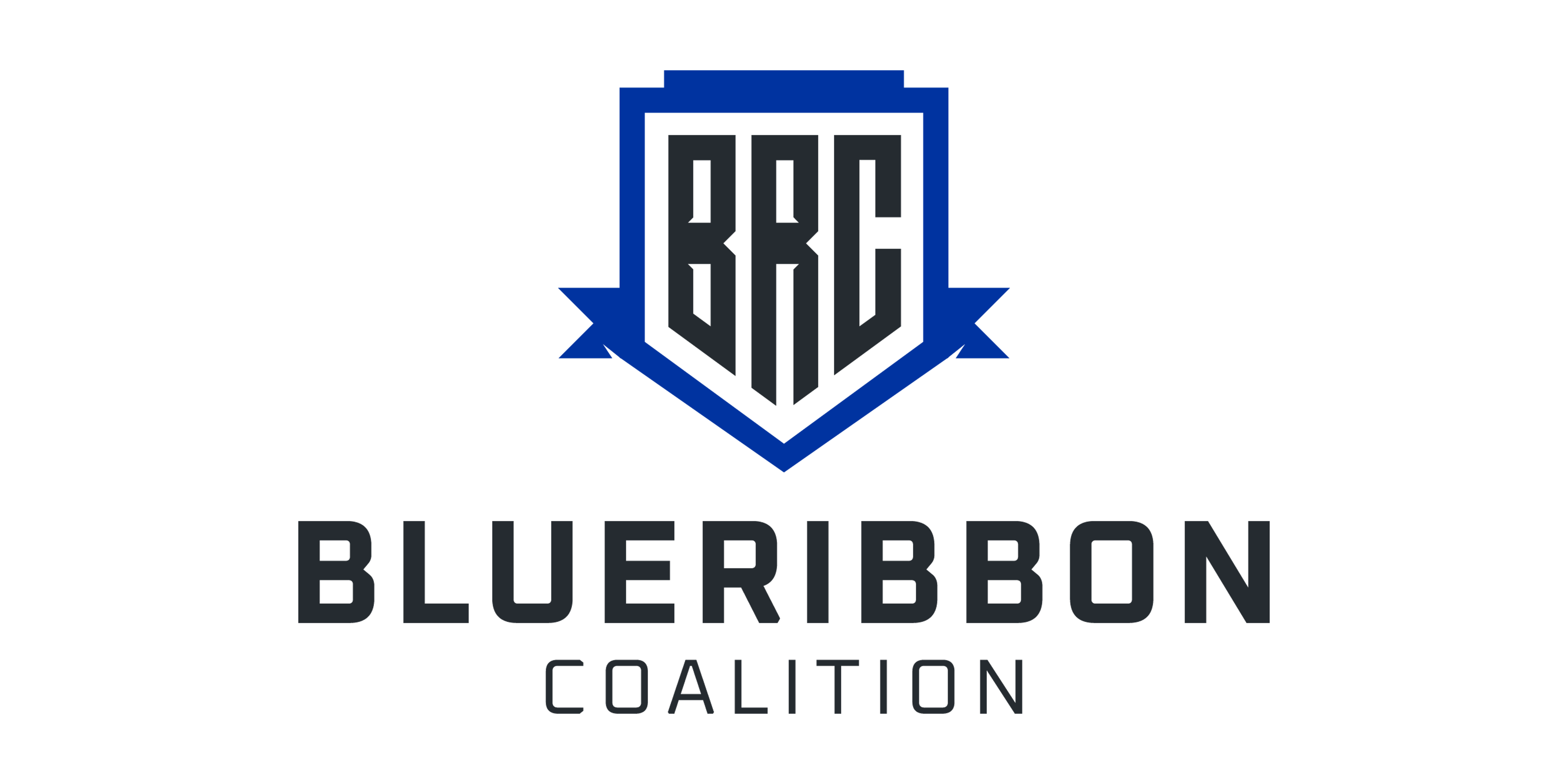 Blue Ribbon Coalition